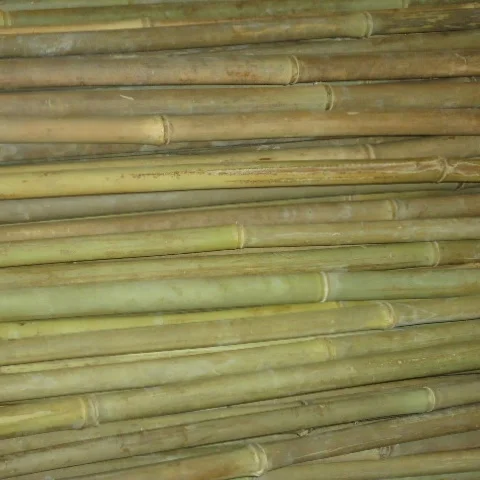 Многофункциональные бамбуковые полюсы продажа бамбуковых полюсов натурального