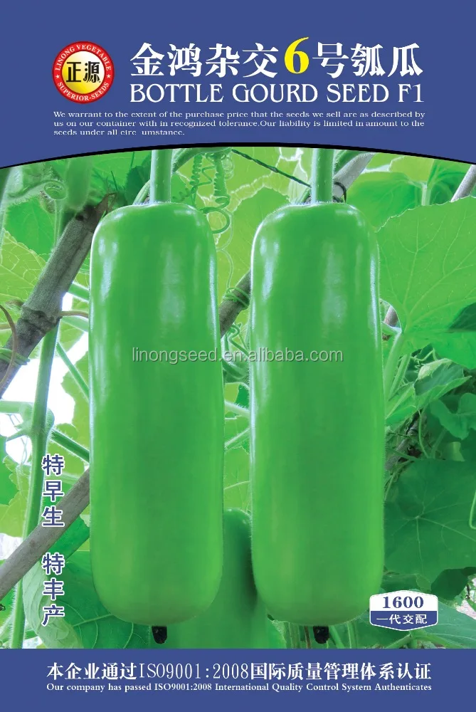 Бутылочной тыквы семена высокой чистоты семян