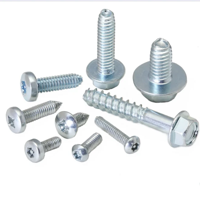 Stainless Steel Thread Forming Screw