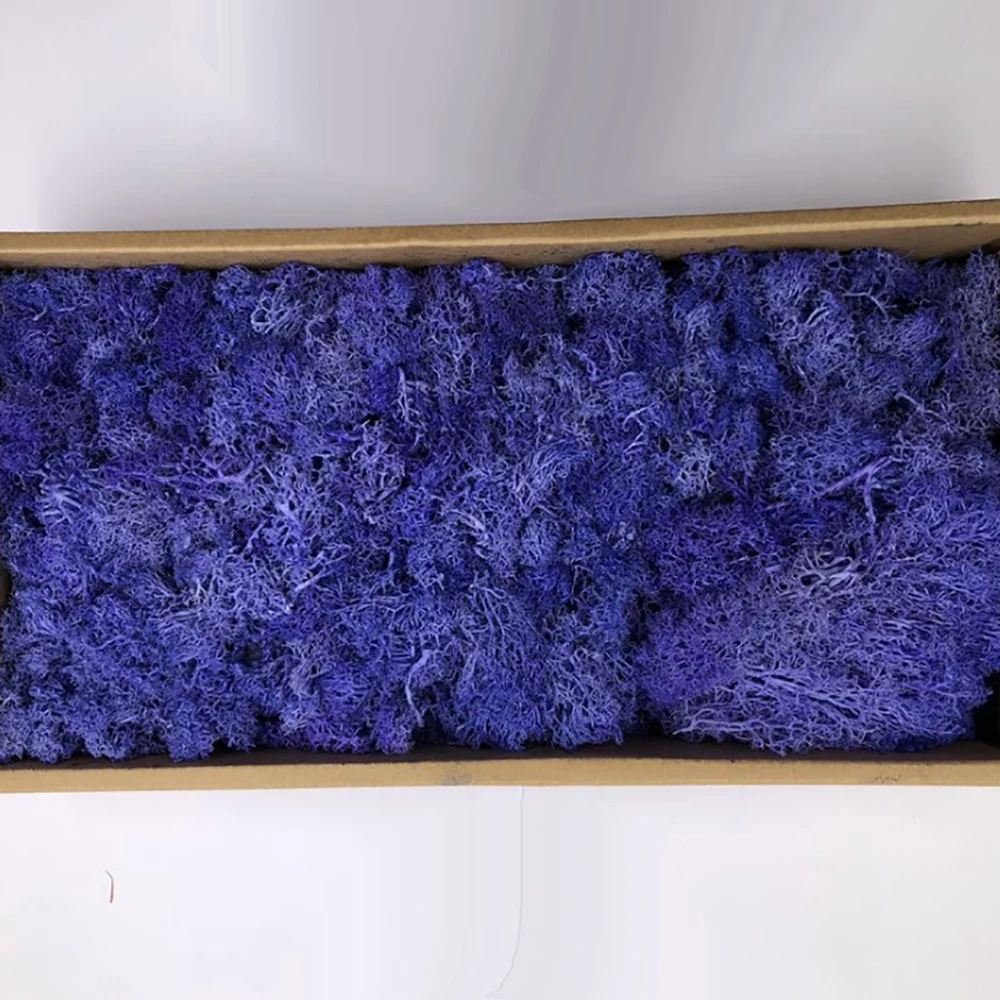
Wholesale Best Quality Kunming Grade A Preserved Reindeer Dried Moss for Wall Decoration 