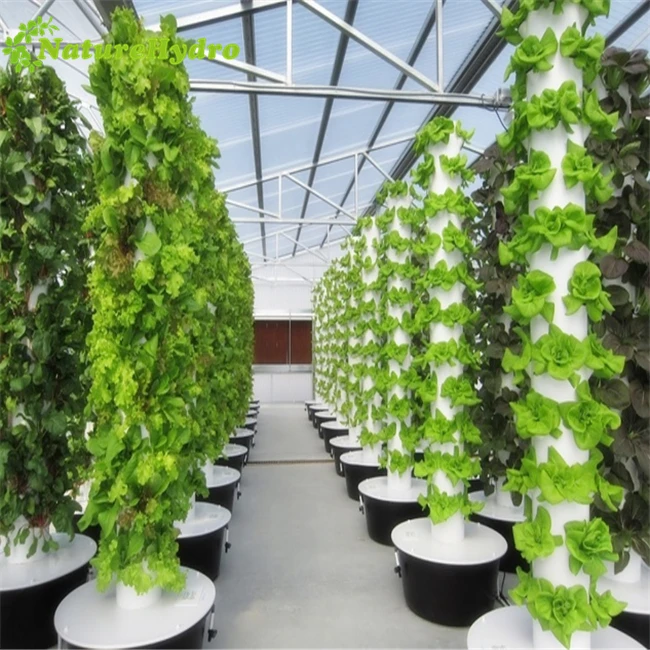 Commercial greenhouse aeroponic tower garden vertical farming