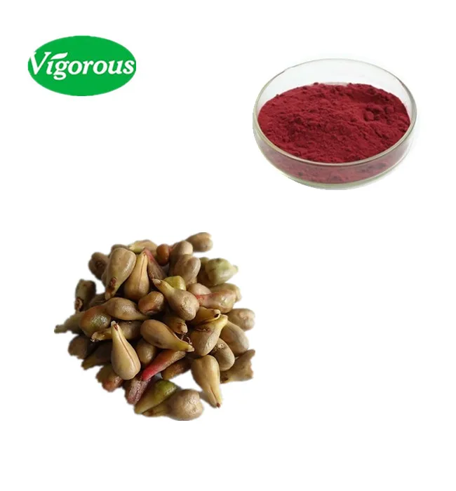 factory Natural grape seed extract 95% OPC