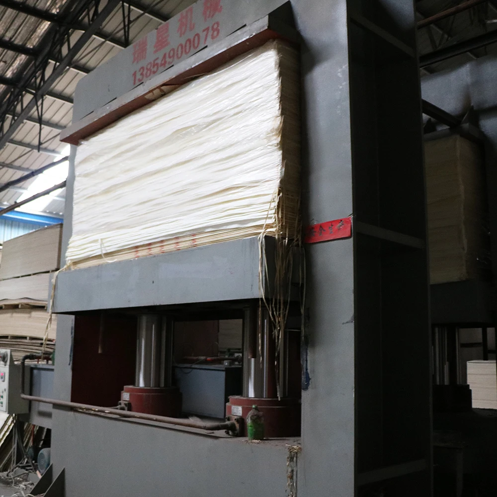 Отбеленная тополевая фанера класса LVB 18 мм