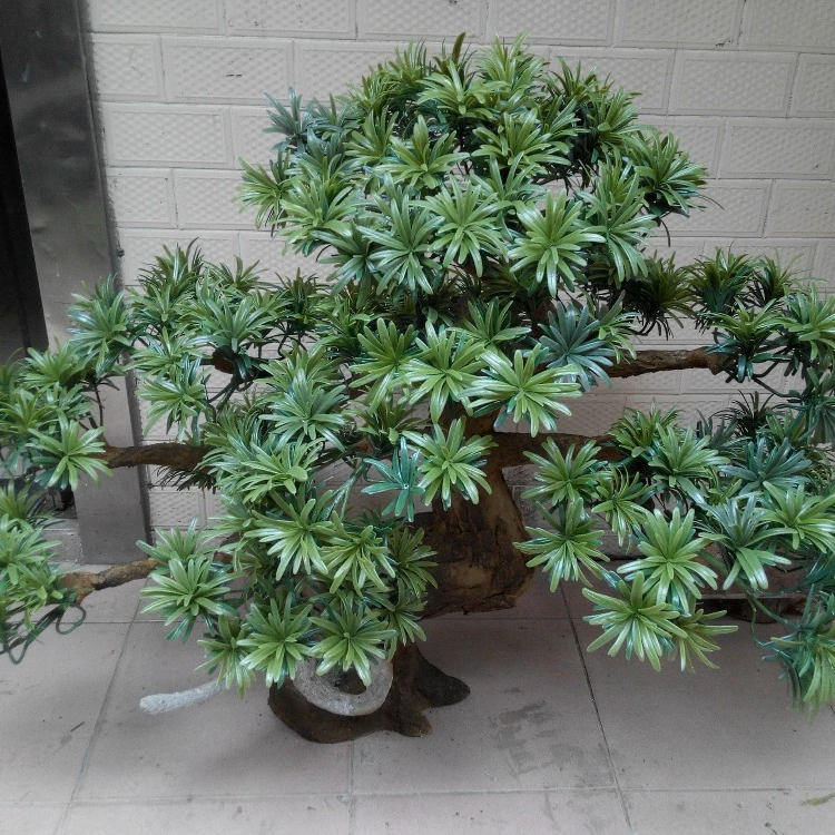 
 Новый дизайн искусственная сосна бонсай для продажи  