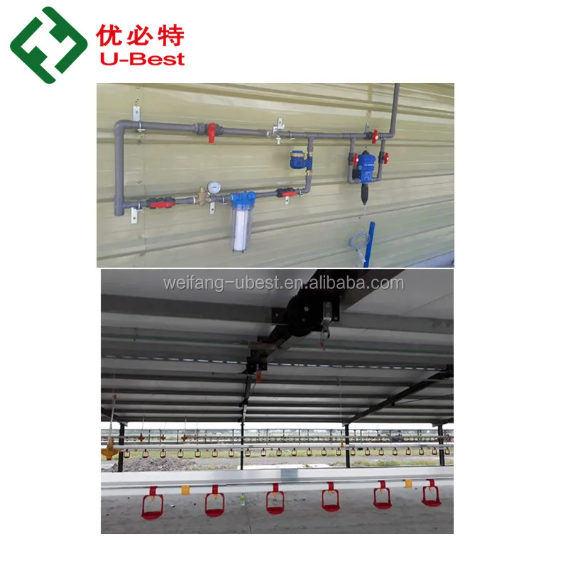 Automatic Poultry Nipple Drinkers With Drip Cup for Watering Chicken Broiler and Breeder and Egg Layer