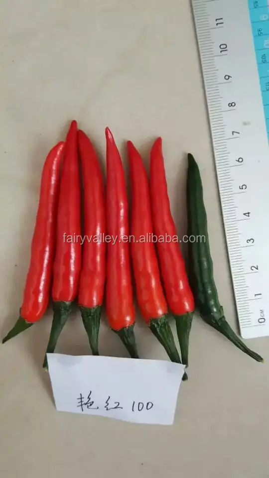 Гибридные F1 семена красного перца Чили для продажи-яркий красный 100