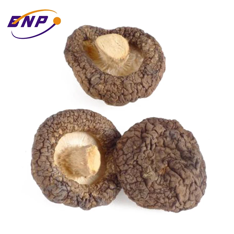 Maitake/Reishi/Shitake порошок экстракта грибов