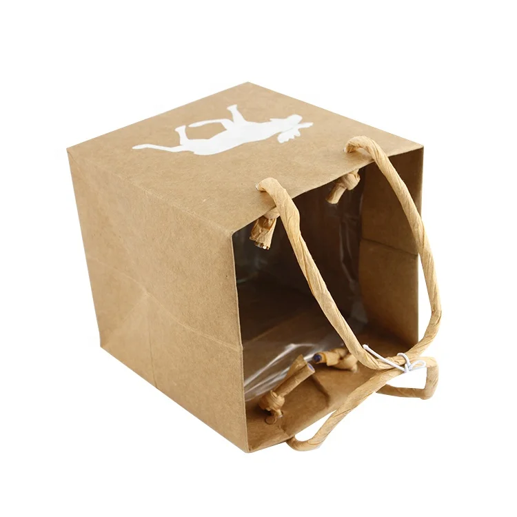 Mini kraft flower carrier bags Logo Printed Brown pot boxes seed planter with twisted Paper handle