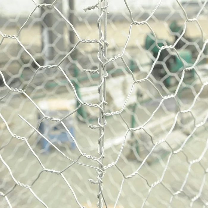 hot dipped galvanized 8x10cm hexagonal  gabion/Renault pads for Philippine market