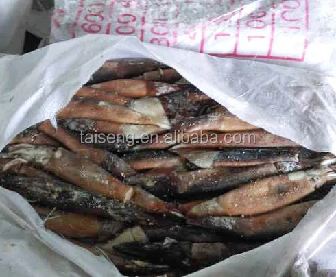 Frozen Illex Squid Under 100g