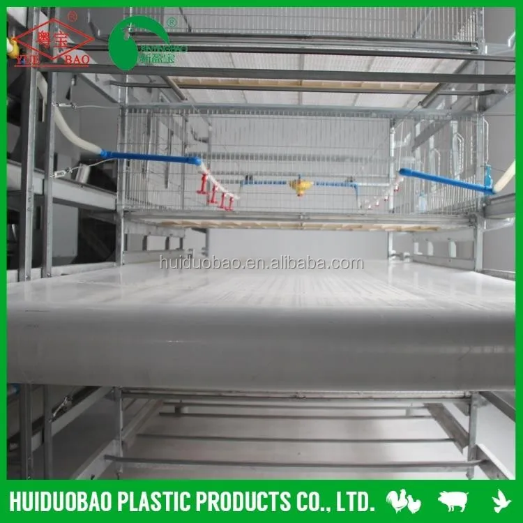 Poultry Manure Conveyor Belt Automatic Cleaning Chicken Manure Belt For Layer Feeding Chicken Cage