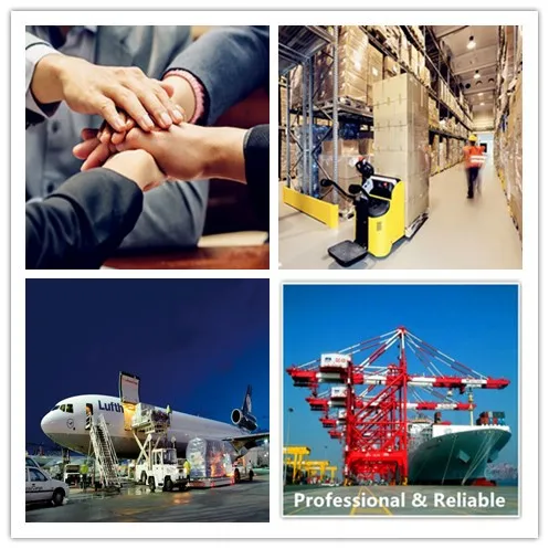 Full container Cheap Sea Freight shipping rates from ShenZhen/GuangZhou/shanghai China to Vietnam