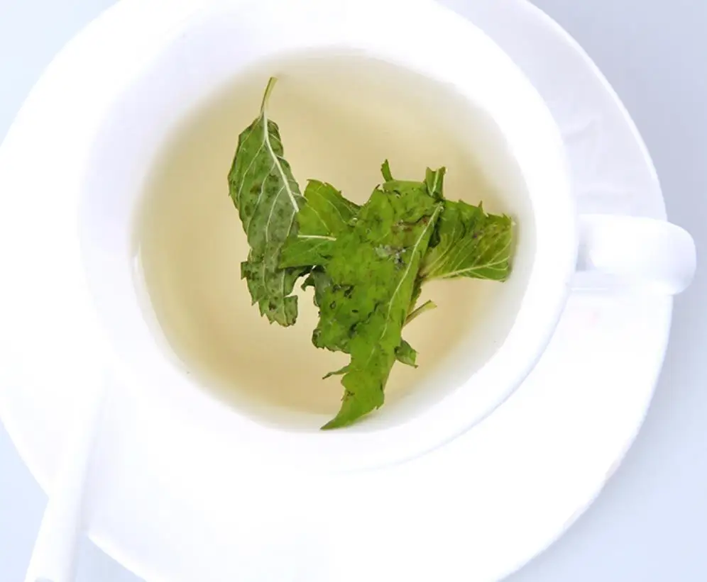 Пряный чай оптовая продажа новый урожай сушеных листьев мяты для чая