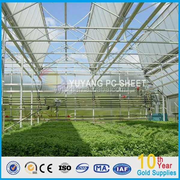two wall hollow Polycarbonate Sheet greenhouse market/twin wall polycarbonate sheets