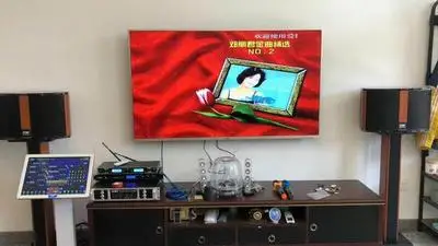  Китайская фабрика семейный аудиокомплект KTV домашняя гостиная система караоке для домашнего кинотеатра с 10 и 12 дюймовыми