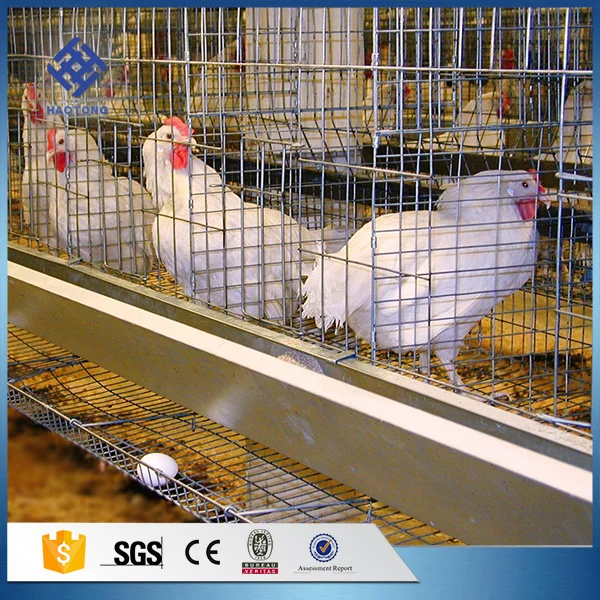
Factory price direct sale poultry farm house design automatic layer egg chicken cage 