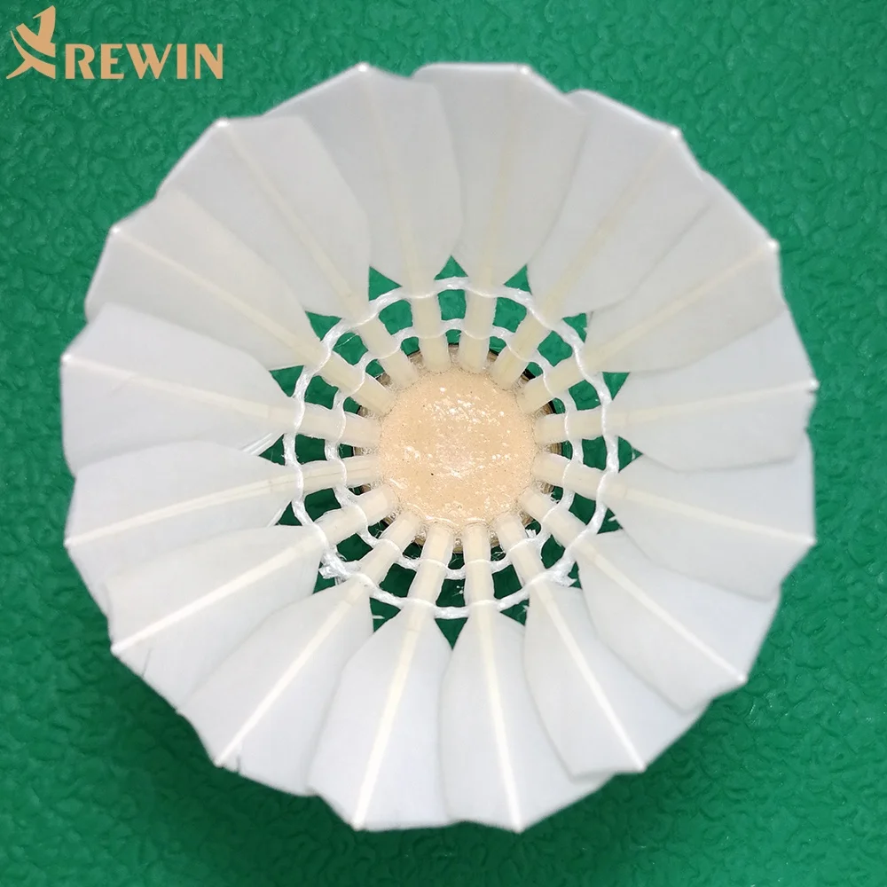 Professional training badminton shuttlecock CHAMPION NO.20