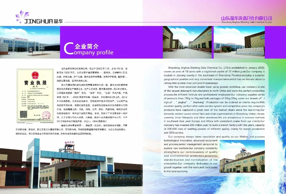 Any Size Customized Eco Friendly Private Label Wholesale Dish Soap Dishwashing Liquid