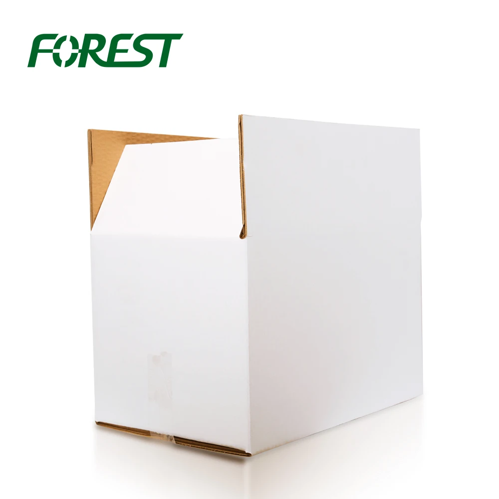 Forest Custom logo design corrugated mailing packaging shipping carton boxes