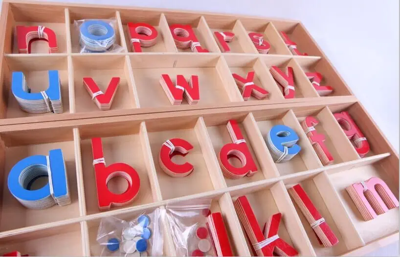 Tiger Montessori Materials: L020 Wood-Large Movable Alphabet(Red &Blue) Other Educational Toys