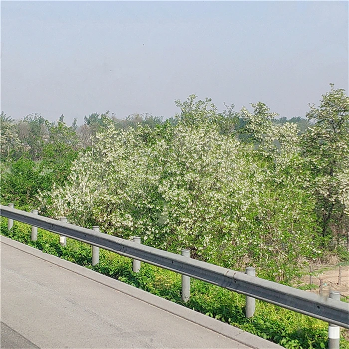 Заводская поставка конкурентоспособная цена ограда с высоким уровнем безопасности металлический w балка страна дорожный мост дорожный барьер