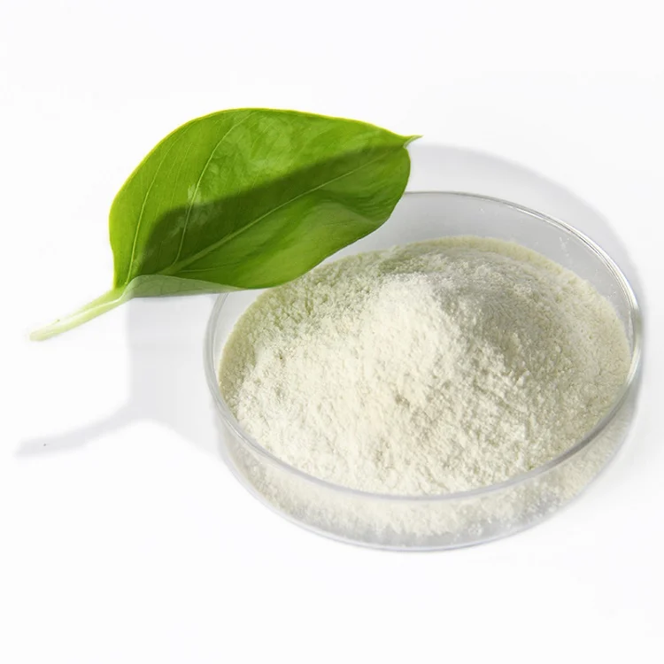probiot Food Grade probiotic powder strain Bifidobacterium lactis