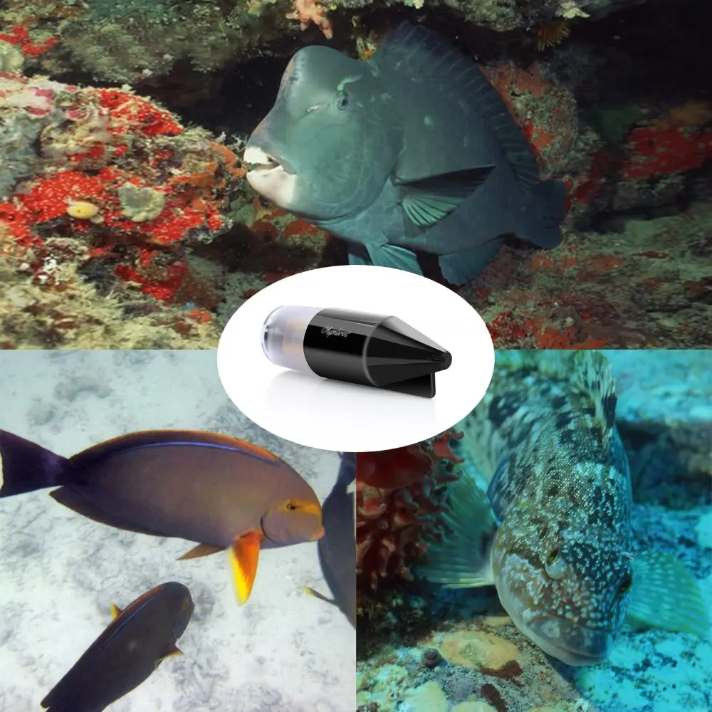 720P HD Olymbros D1 20M Underwater Fishing Video Camera