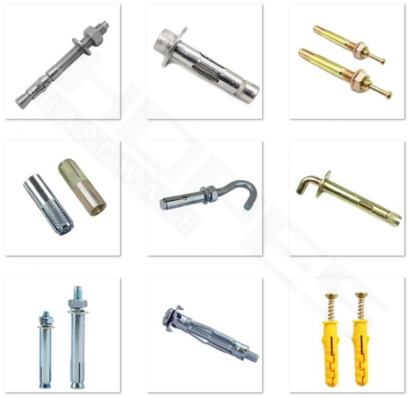 Stainless Steel A2 A4 SUS304 316 Diameter 4mm 5mm 6mm 8mm Anchor Bolt Screw for Ceiling Hollow Brick