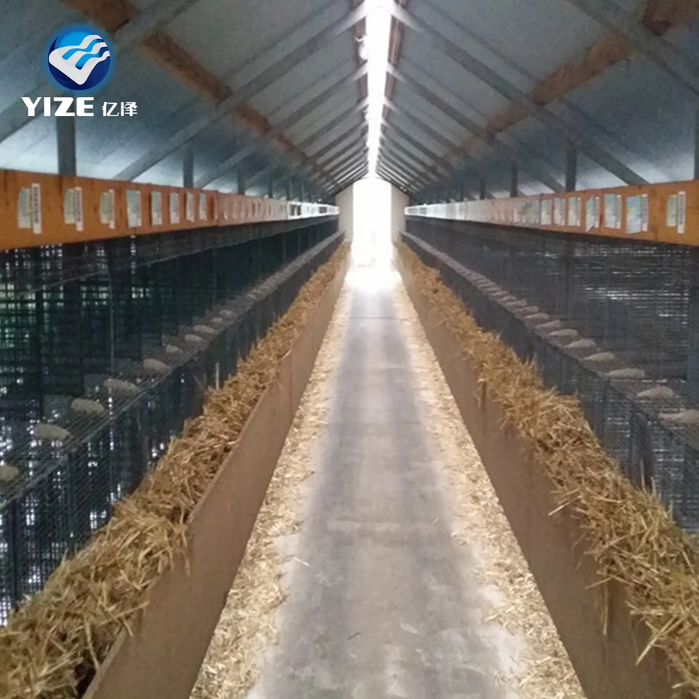 High Quality professional factory animal breeding mink cage