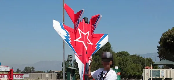 RC Airplane F16 Vigilantes Ducted Fan Jet Grey Scale Warbird Fighter Model Hobby Plane Aircraft Wholesale Price For Sale