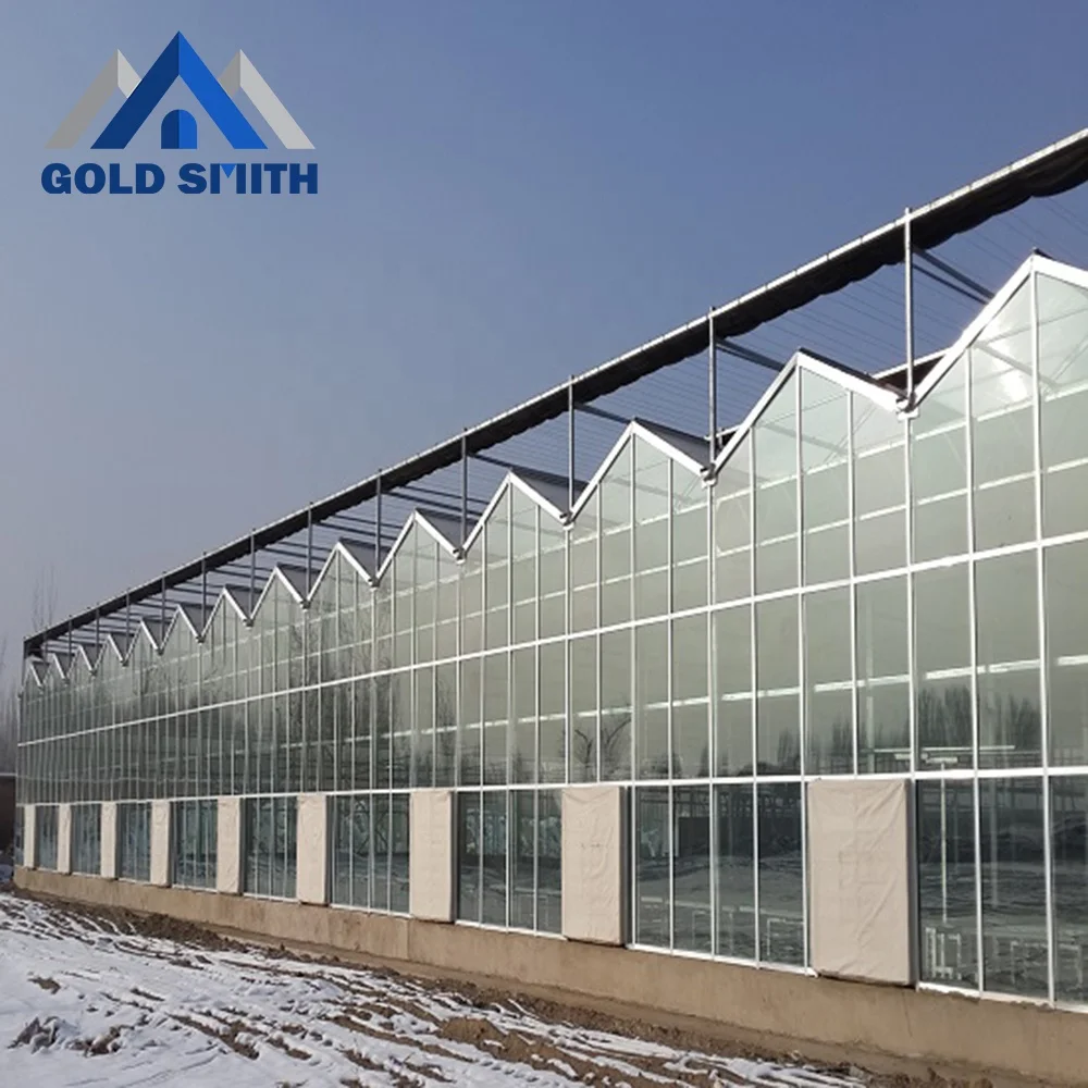 Customized Venlo Type Steel Tube Agriculture Greenhouse with Cooling Equipment