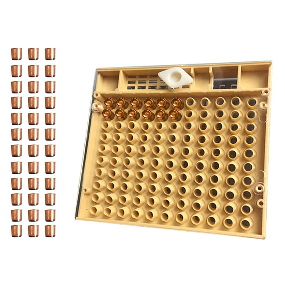 Queen Bee Rearing System For Beekeeping Plastic Cage Tools Apiculture Equipment