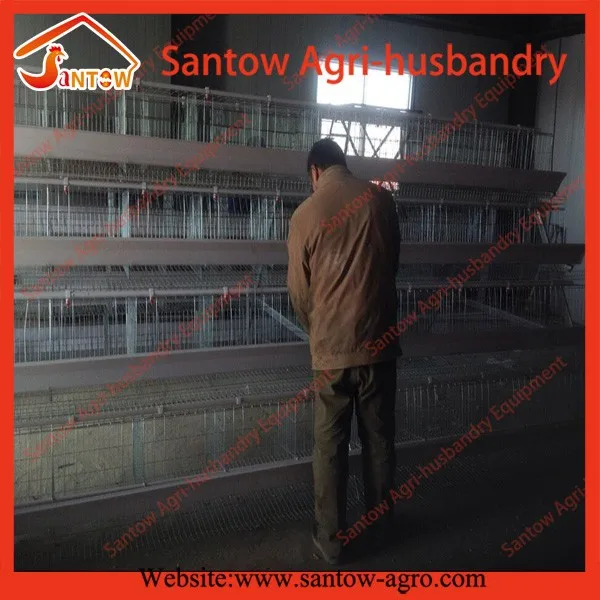 Дизайн птицы аккумулятор клетки для кур для выращивания бройлеров