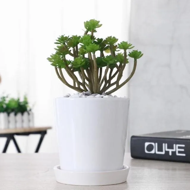 Cheap white small round mini ceramic plant flower pot 4inch pot