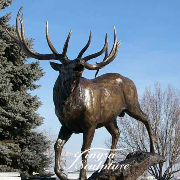 Low Price musk deer with Best Price