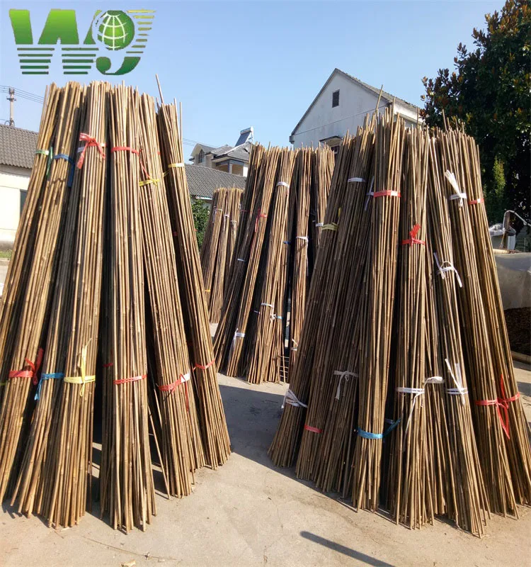 WY T-001 Natural Tonkin bamboo cane