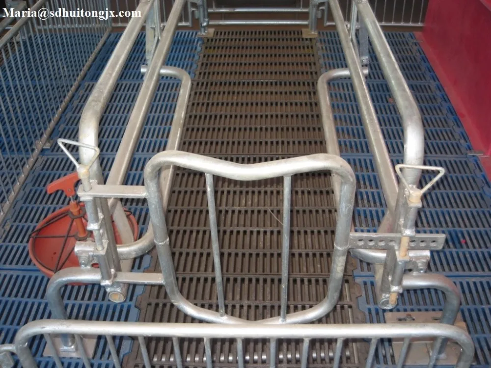 Manufacturer of agricultural livestock equipment pig farrowing crate