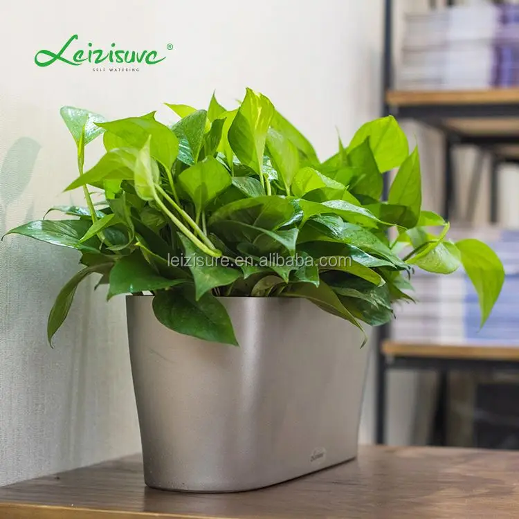 Self Watering Modena Windowsill Planter and Herb Garden China manufacture