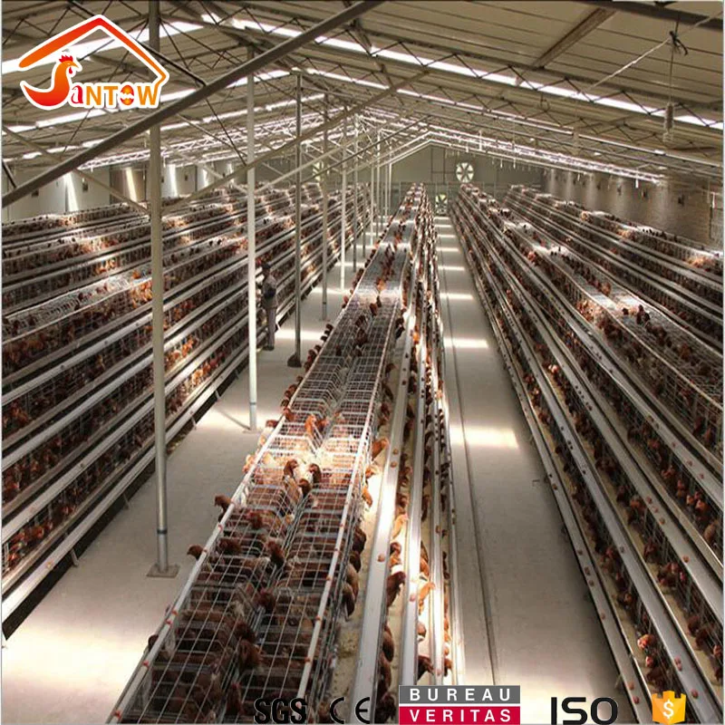 A type 4 tier chicken layer cages pigeon breeding battery cage for poultry farm