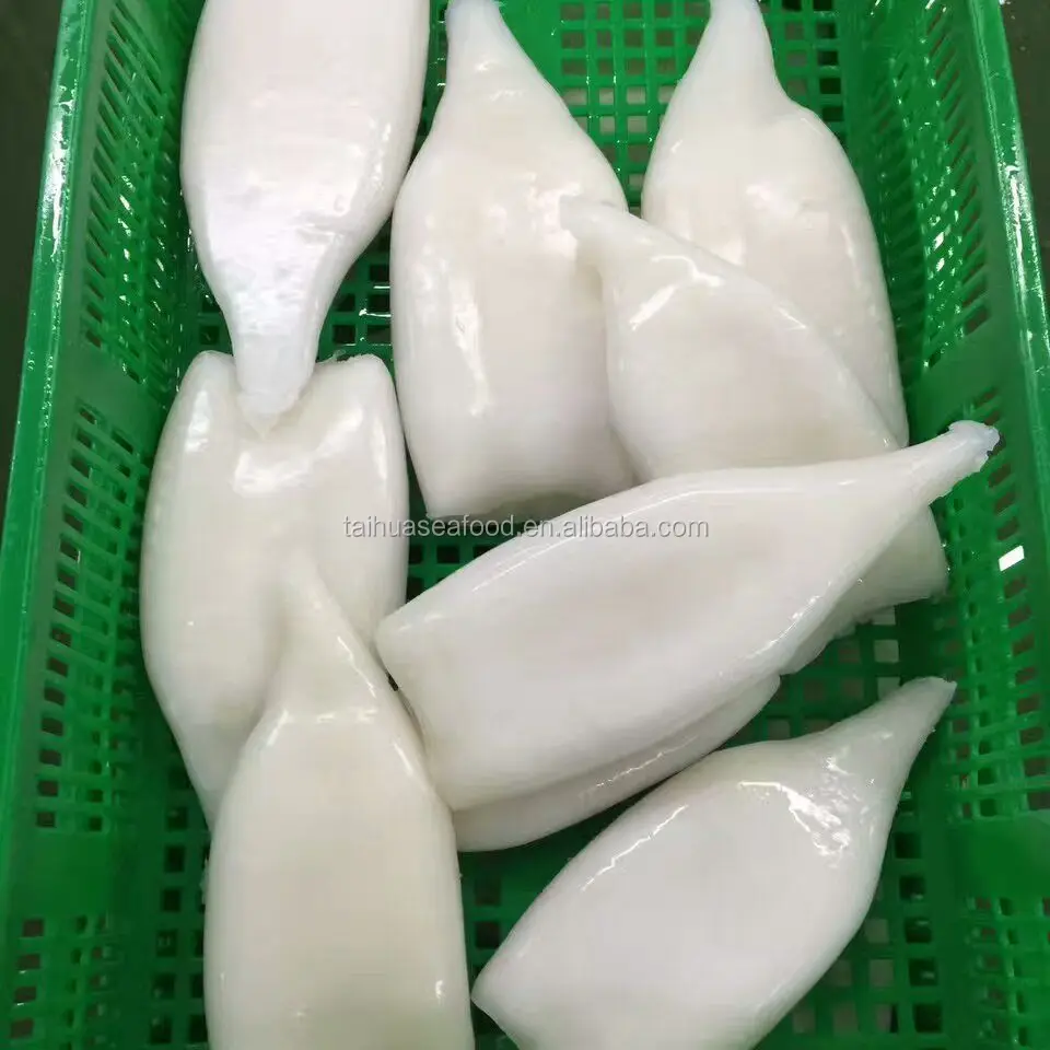 Frozen Squid Tube squid material from China in much stock