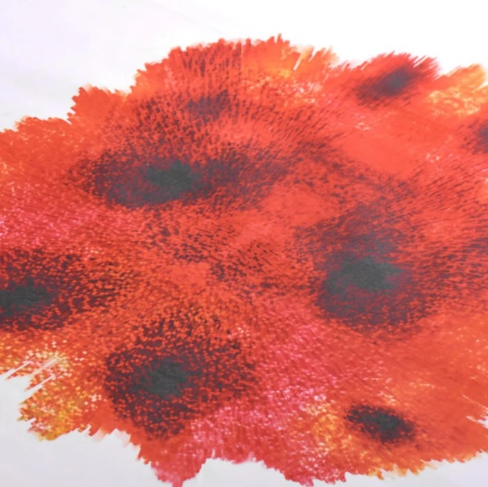 
Factory directly 100% silk fabric digital print satin organza fabric 