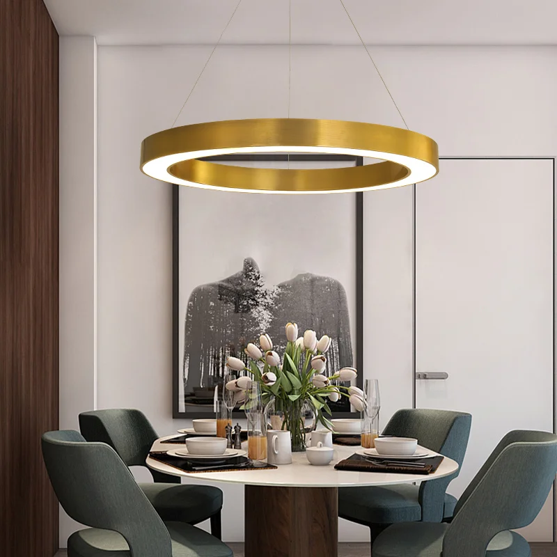 Classic Simple decorative circle hanging lamps golden led pendant light