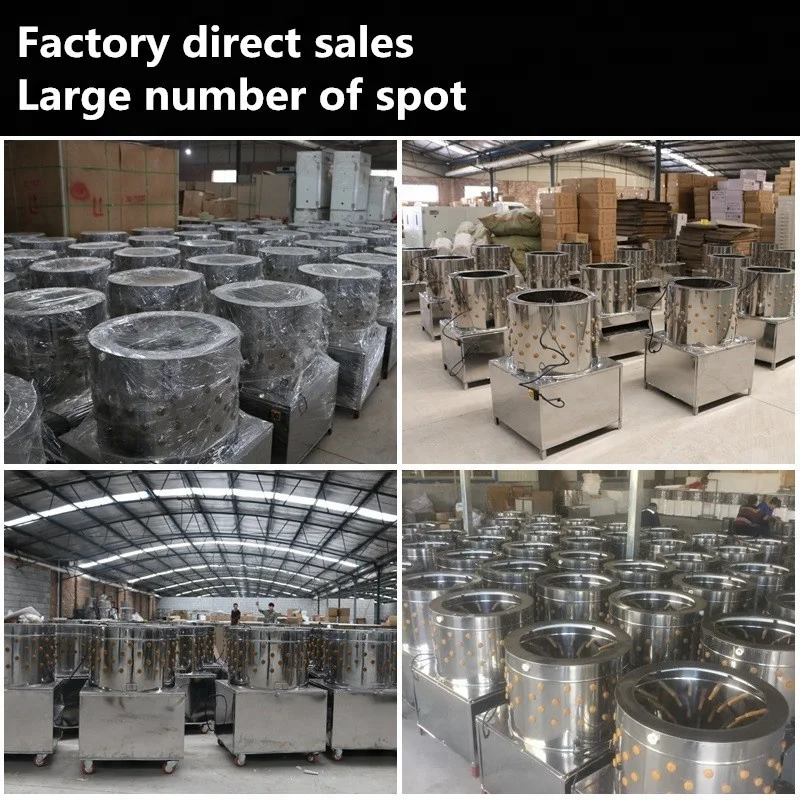 chicken plucker ZH-60 with CE, model 60 chicken plucker machine (lydia: 0086.15965977837)