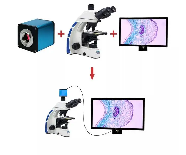 
usb Control Microscope industrial camera with Auto focus system 