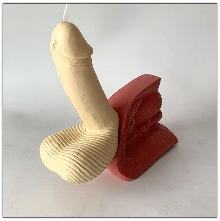 Physiological teaching model simple male urethral catheterization model