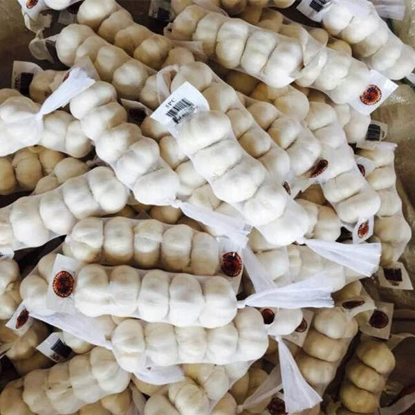 
Agriculture Products Fresh Garlic on sale China fresh garlic price 