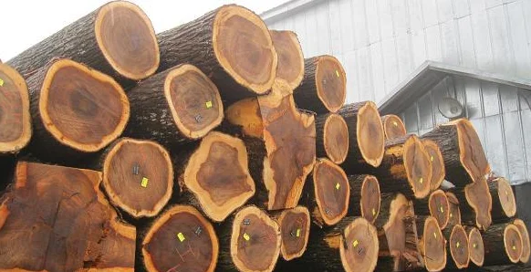 Дешевая древесина Elm изготовленная для высококачественного бильярдного кия из