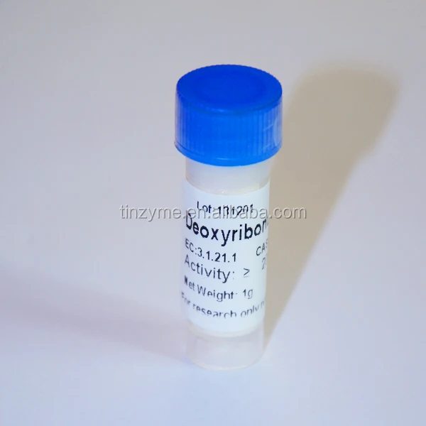 DNase I, Deoxyribonuclease I lyophilized powder
