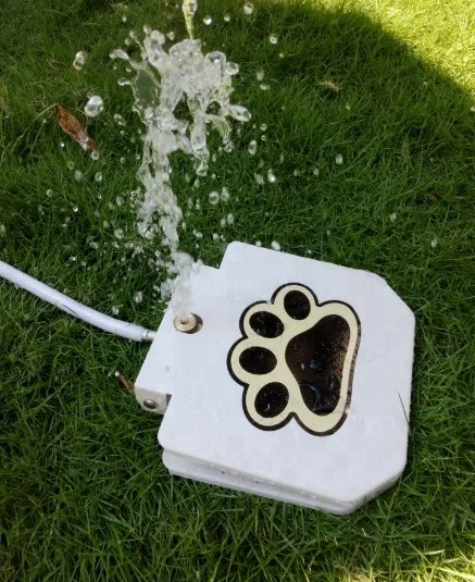 outdoor dog water fountain dog pet fountain