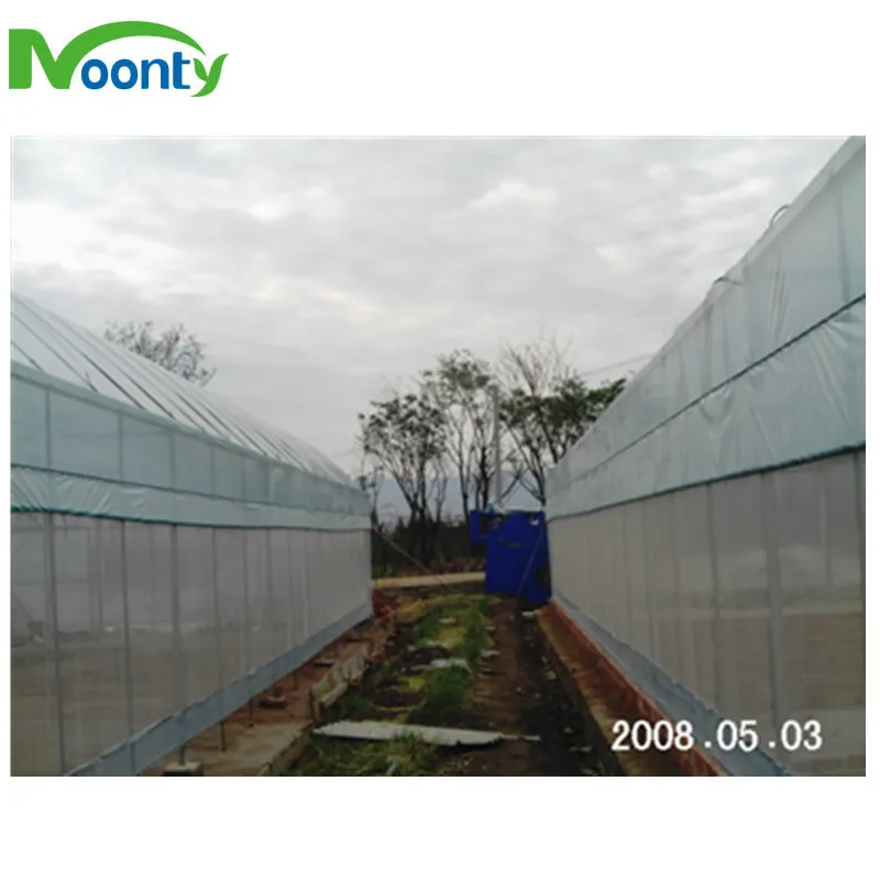Plastic Film Greenhouse for Hydroponics Lettuce/Cucumber/Tomato/Cherry/Strawberry Growing